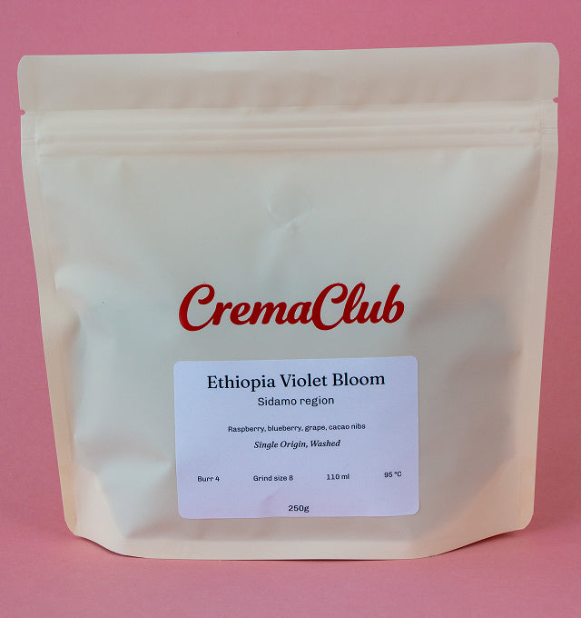 Ethiopia Violet Bloom