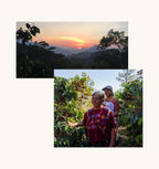 Guatemala Velvet Citrus