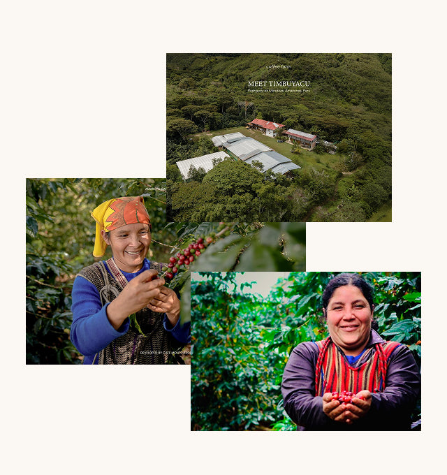 Peru Cloud Nectar